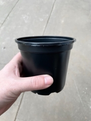 4.5 Inch Plastic Pot