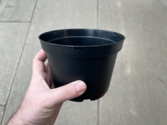 6 Inch Plastic Pot