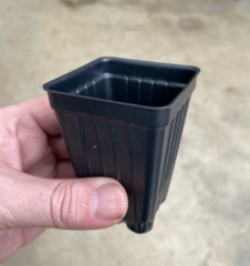 2 Inch Plastic Pots (Tall) 10 Pack