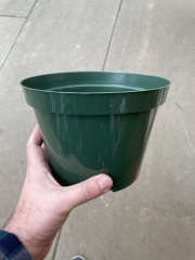7.5 Inch Plastic Pot