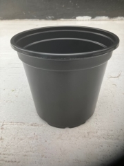 4.75 Inch Plastic Pot