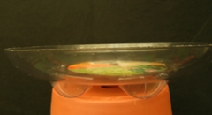 SUPER SAUCERS