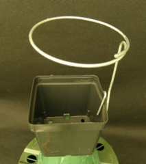 Plant Support Rings