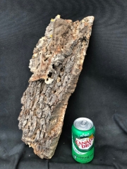 CORK BARK SLABS